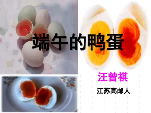 人教版八年级语文下册《四单元  阅读  17 端午的鸭蛋》示范课件_13