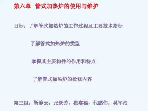 第六章管式加热炉的使用与维护模板