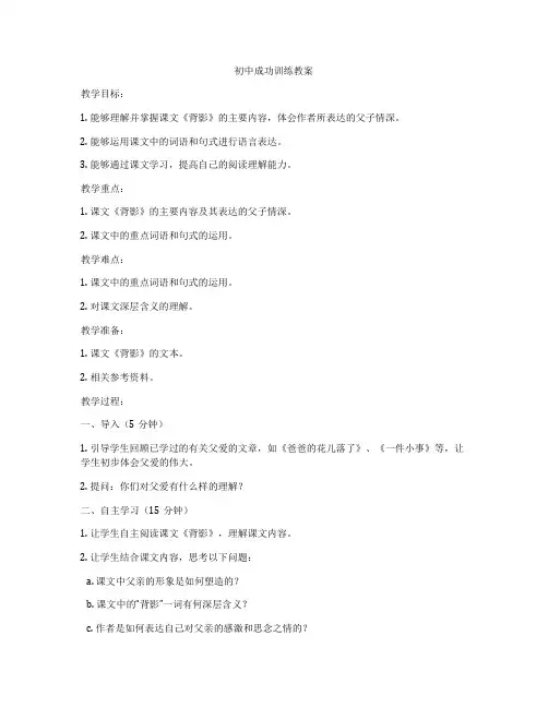 初中成功训练教案