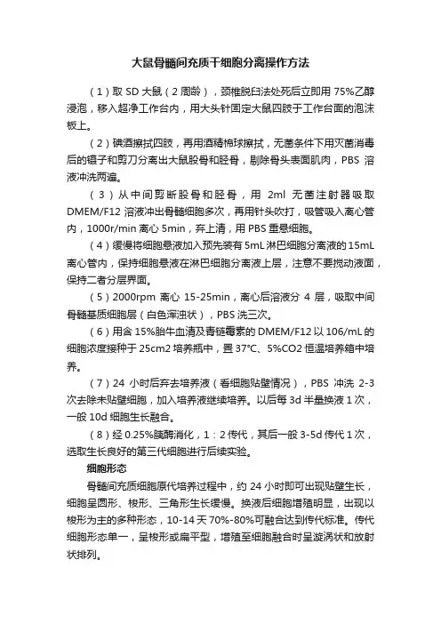 大鼠骨髓间充质干细胞分离操作方法