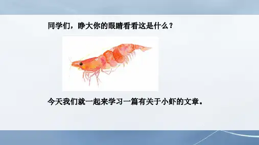 部编版语文三年级下册第四单元《小虾》课件