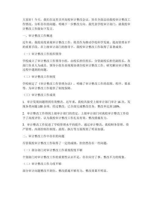 高校审计整改会议发言稿