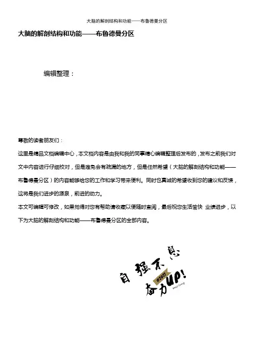 (2021年整理)大脑的解剖结构和功能——布鲁德曼分区