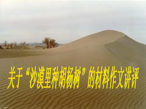 材料作文讲评审题立意及例文 课件下载 39