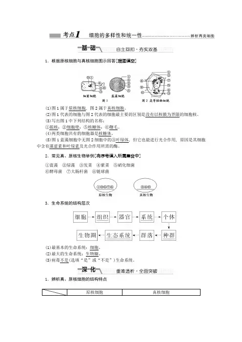 生物必修一1.2细胞的多样性和统一性优质试题练习题