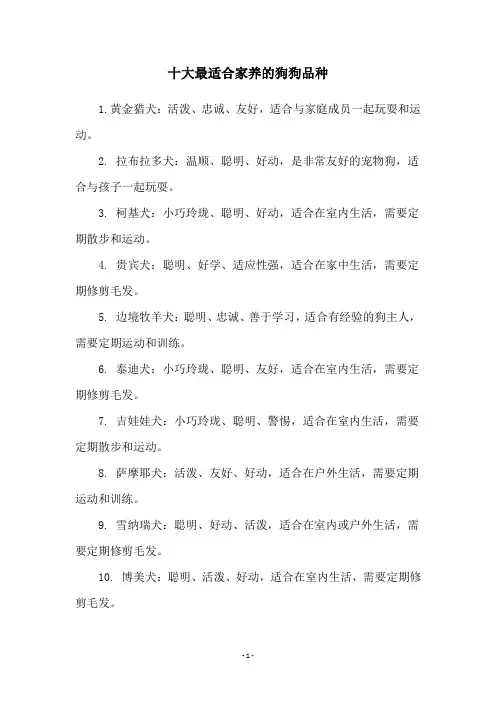 十大最适合家养的狗狗品种