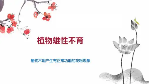 植物雄性不育