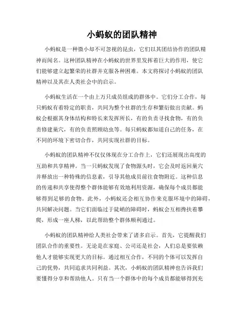 小蚂蚁的团队精神