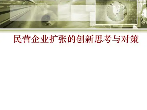 民营企业创新发展对策(ppt 72页)