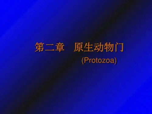 3原生动物门-PPT资料128页