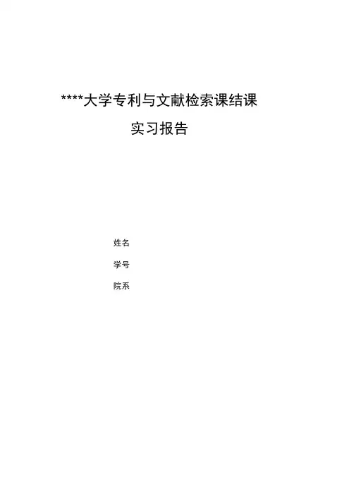 专利文献检索报告