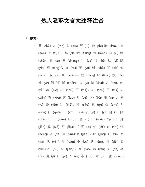 楚人隐形文言文注释注音