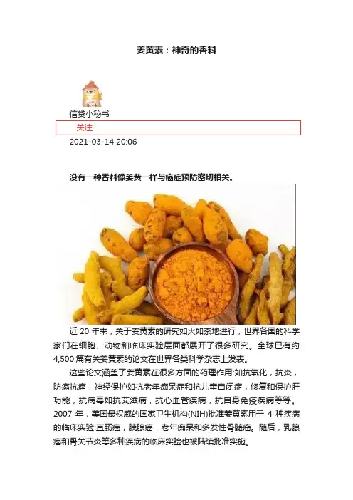 姜黄素：神奇的香料