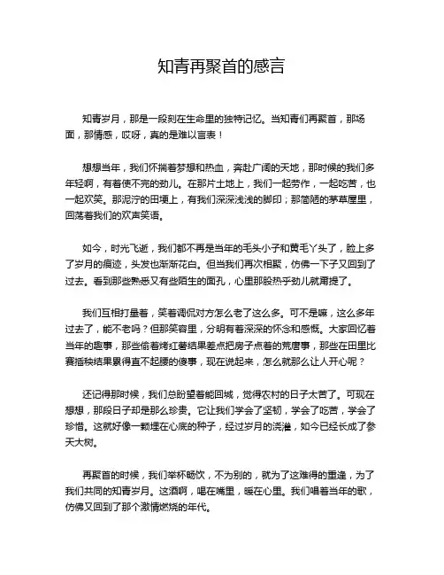 知青再聚首的感言
