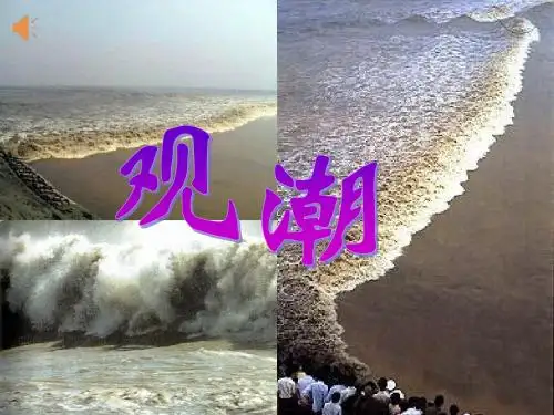 四年级语文上册第一课《观潮》ppt课件