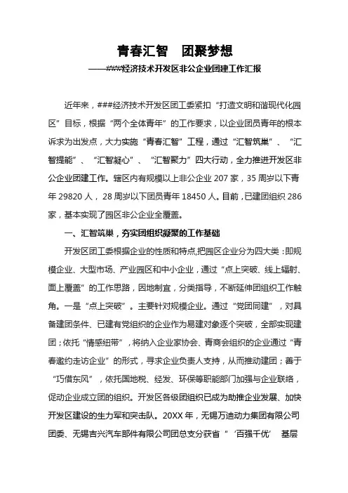 青春汇智  团聚梦想经济技术开发区非公企业团建工作汇报