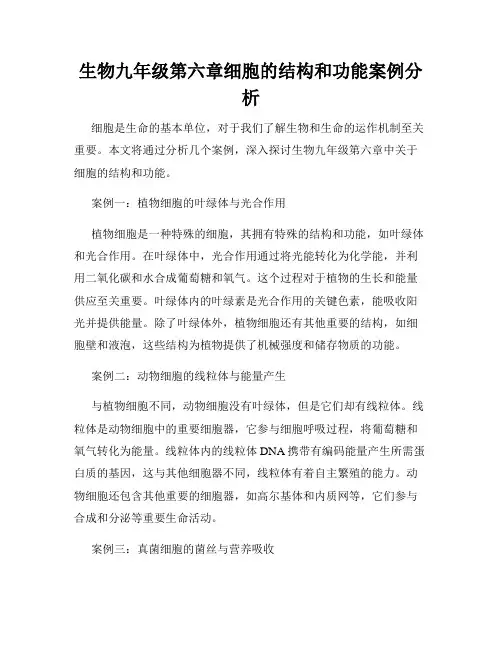 生物九年级第六章细胞的结构和功能案例分析