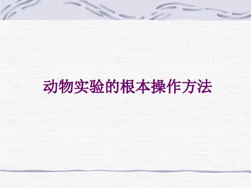 动物实验的基本操作方法
