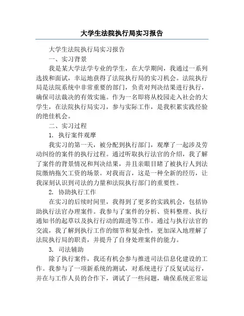 大学生法院执行局实习报告