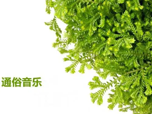 通俗音乐