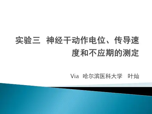 神经干动作电位、传导速度和不应期的测定