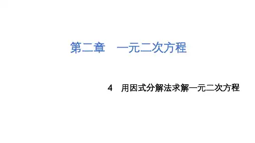 用因式分解法求解一元二次方程课件19张北师大版九年级上册数学