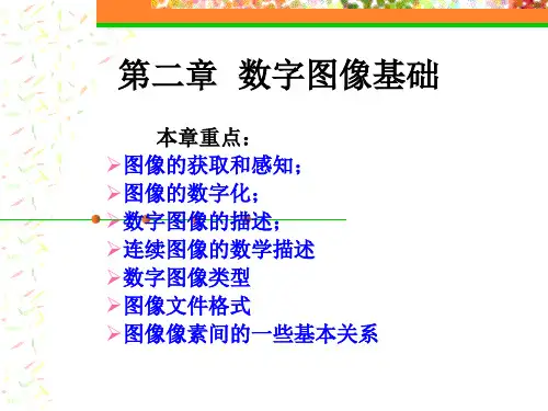 第二章数字图像基础.