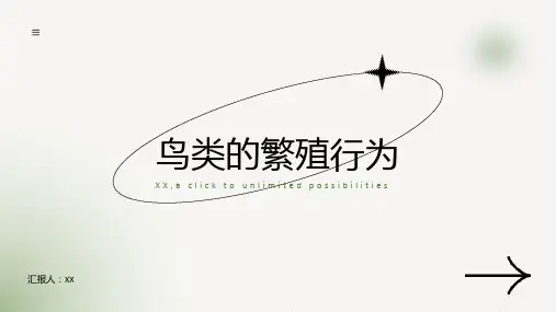 鸟类的繁殖行为