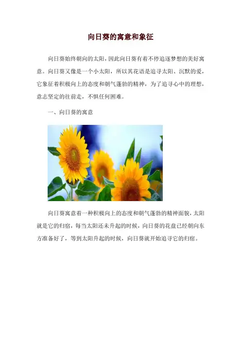 向日葵的寓意和象征