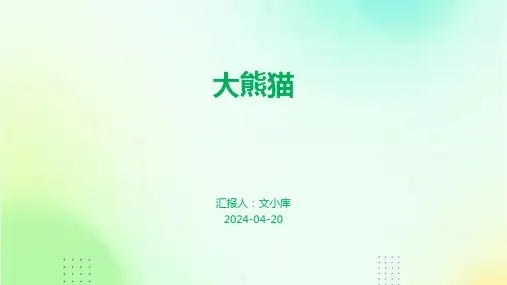 大熊猫.pptx