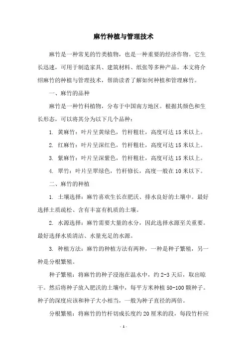 麻竹种植与管理技术