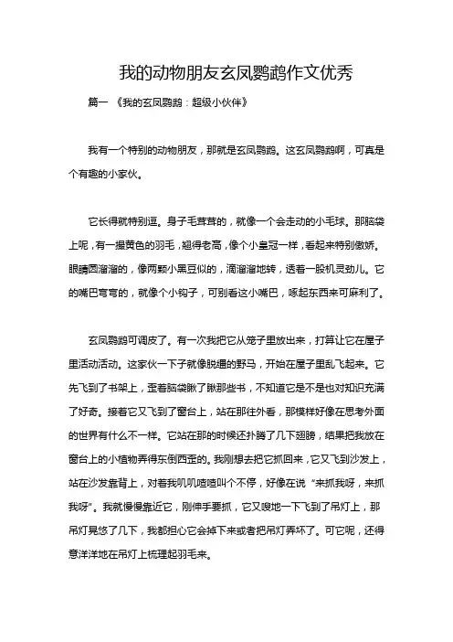 我的动物朋友玄凤鹦鹉作文优秀