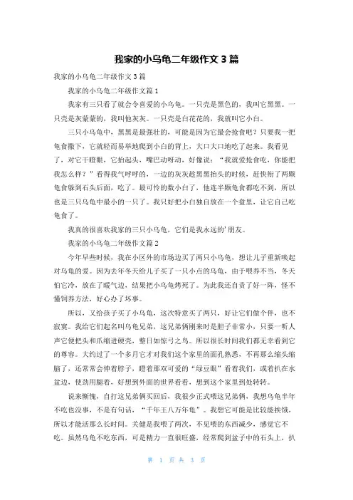 我家的小乌龟二年级作文3篇_1