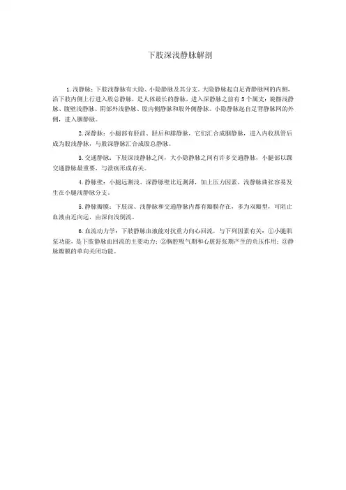 下肢深浅静脉解剖
