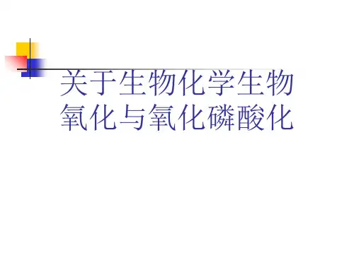 关于生物化学生物氧化与氧化磷酸化课件