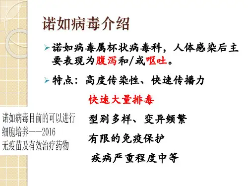 诺如病毒暴发疫情与调查处置要求