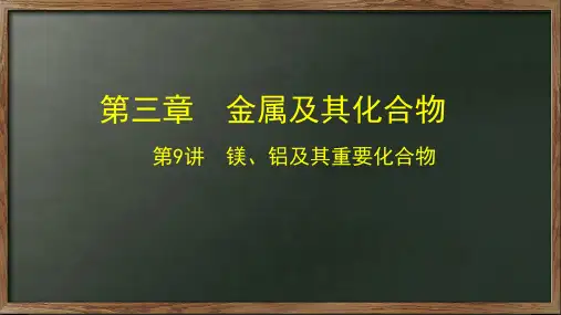 第9讲镁铝及其化合物-2024年高考化学一轮复习课件