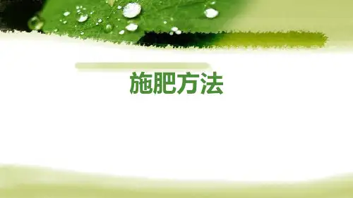 作物生产技术基础—水稻肥料管理技术