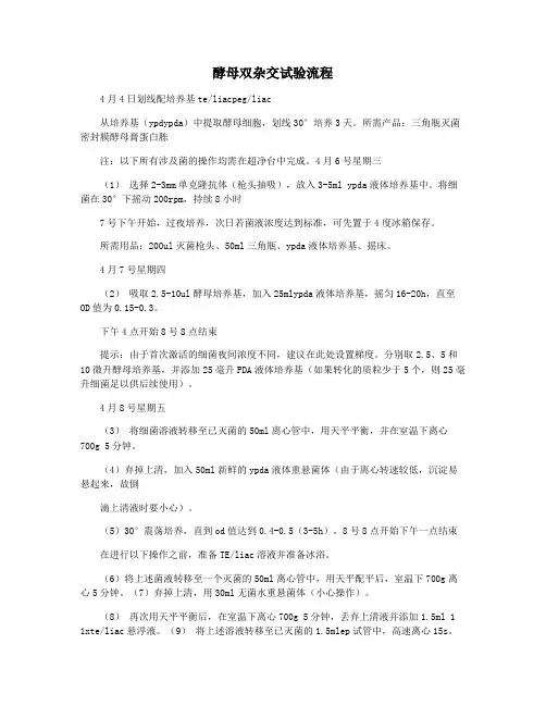 酵母双杂交试验流程