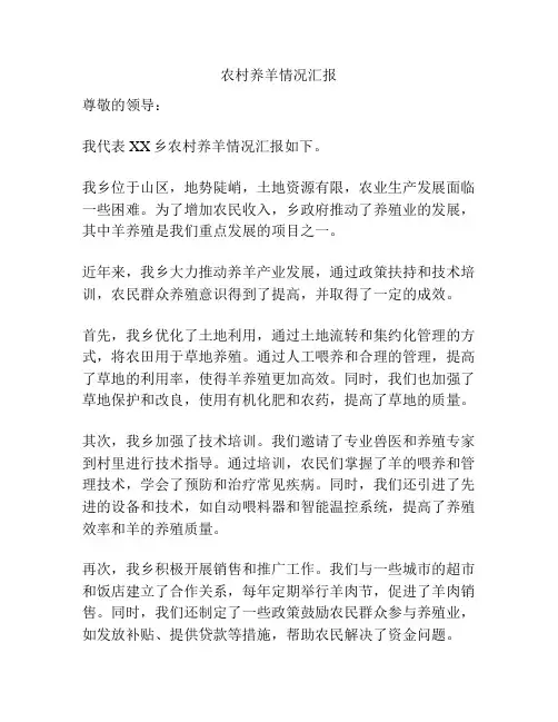 农村养羊情况汇报