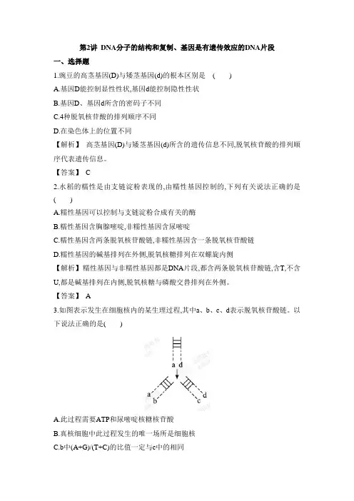 2.2.2DNA分子的结构和复制、基因是有遗传效应的DNA片段
