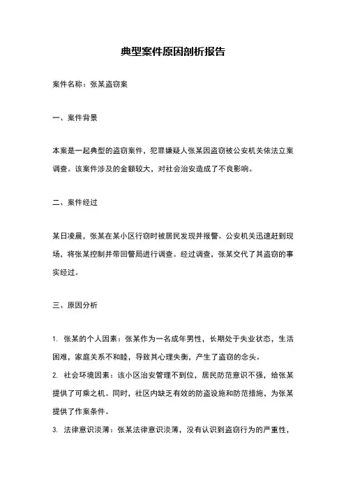 典型案件原因剖析报告