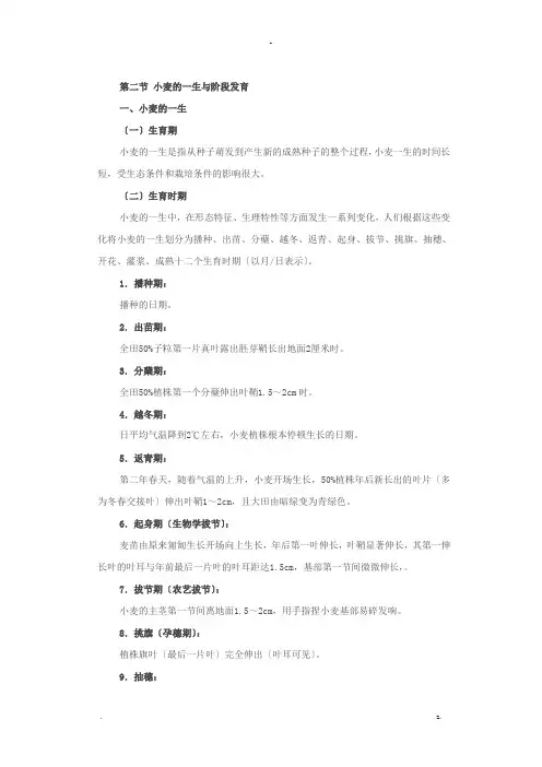 小麦的一生及阶段发育