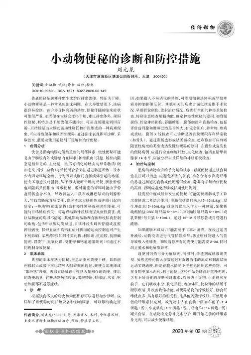 小动物便秘的诊断和防控措施