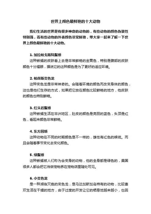 世界上颜色最鲜艳的十大动物