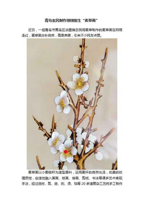 青岛农民制作栩栩如生“麦草画”