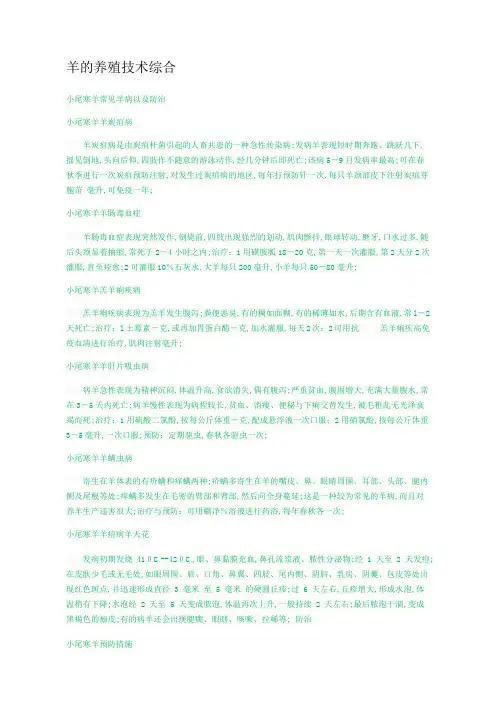 羊的养殖技术综合