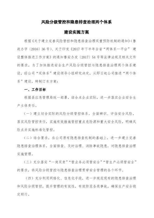 双体系建设实施方案