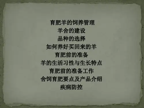 育肥羊的饲养管理