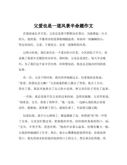 父爱也是一道风景半命题作文